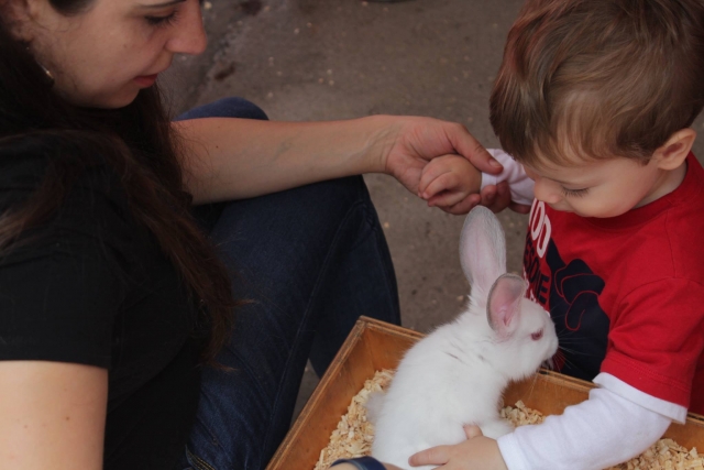 Aprende con los animales